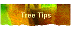 Tree Tips